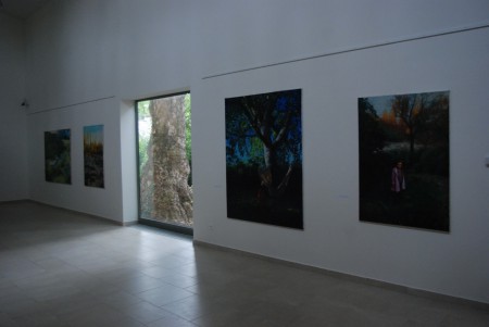 2009 10 29 Szentendre MANK galéria